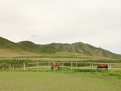 -扁都口生态休闲旅游区