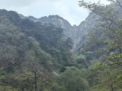 -泰山风景名胜区