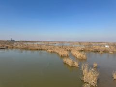 -盐城丹顶鹤湿地生态旅游区