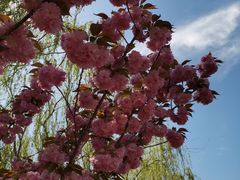 -大兴滨河森林公园