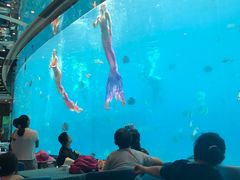 -瑞德姆美人鱼海底演艺主题餐厅(亚龙湾店)