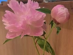 -一坐一忘云南菜(卓悦中心)