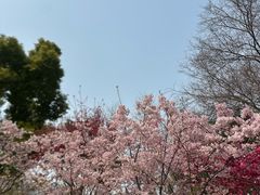 -堤角公园