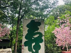 -云龙山