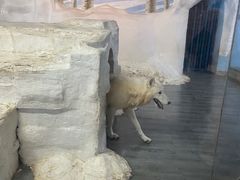 -南京海底世界