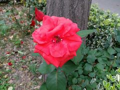 -苏州河梦清园环保主题公园