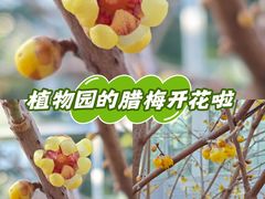 -国家植物园南园