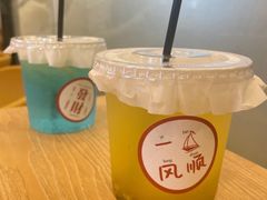-有喵·猫咖·狗咖·30几只猫10只小狗(岗厦店)