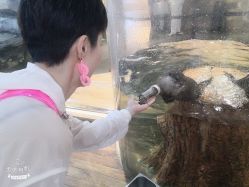 -Zoolung Zoolung动物主题公园(海信广场店)