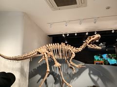 -自贡恐龙博物馆