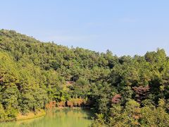 -广州白江湖森林公园