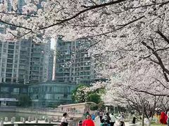 -西北湖绿化广场