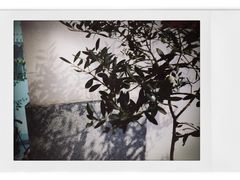-士多咖啡·Stop Coffee