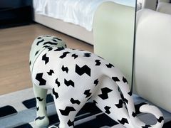 -亚善天籁S酒店(成都太古里旗舰店)