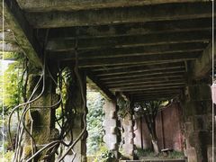 -南山植物园