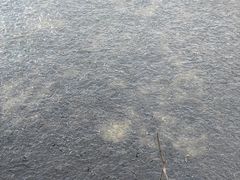 -九眼桥码头旧址