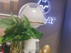 -梵猫·新养生(加州广场店)