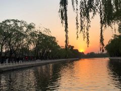 -后海16号·北京私房菜