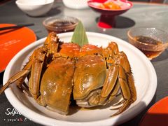 -小厨娘金榜题名(夫子庙秦淮河店)