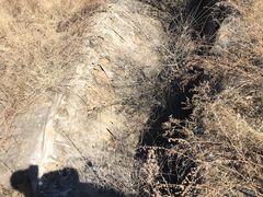 -昂昂溪遗址博物馆