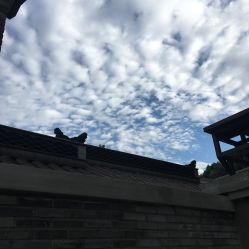 -东秀护肤造型