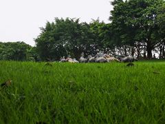 -广州雕塑公园
