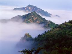 -六里坪国家森林公园