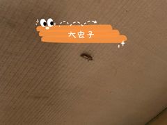 -鲁山人日本料理·放题·套餐(松卫北路店)