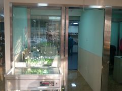 -A猫a狗全科·犬猫异宠·芥西宠物医院(南开总院)