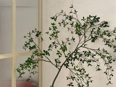 -C·BREAD饱仓(北苑店)