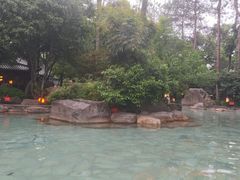 -唐风温泉