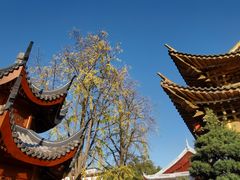 -上海东林寺(金山区)