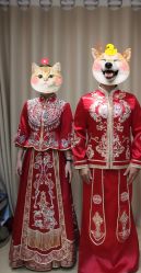 -Lisamoon礼慕纱婚纱礼服高级定制