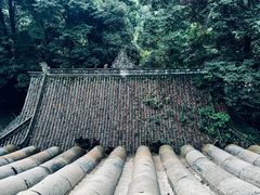 -凤栖山