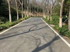 -宜兴龙背山森林公园