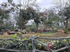 -海南热带野生动植物园