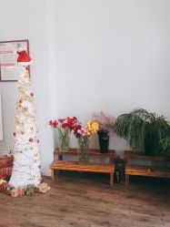 -摩睫+皮肤管理·科学美容中心