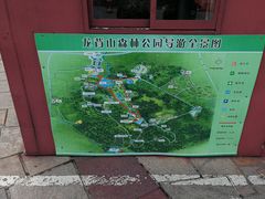 -宜兴龙背山森林公园