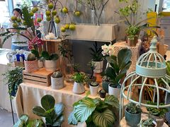 -dotcom coffee古点咖啡(致真大厦店)