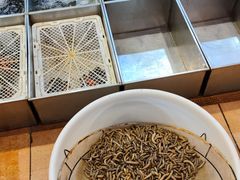 -御唐府海珊瑚主题餐厅