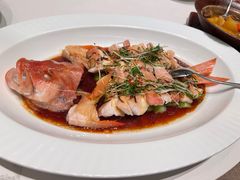 清蒸东星斑-觅唐MITONG(鸟巢店)