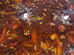 -胖子鱼·天水麻辣鱼火锅(秦州407店)