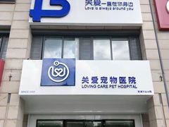 -关爱宠物医院·猫科中心·消化科(滨湖万达分院)