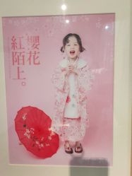-倾城宝贝儿童摄影(浦东金谊店)