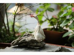 -行人小筑·茶馆(岑村火炉山分店)