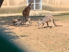 -西安秦岭野生动物园