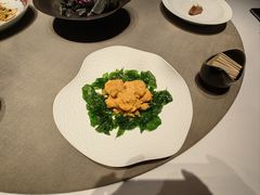 -子福慧(虹桥店)