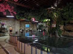 -金水鹤温泉国际酒店