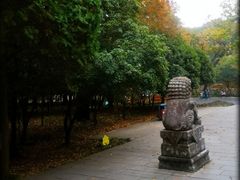 -灵谷景区