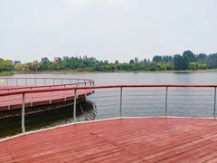 -东郊湿地公园